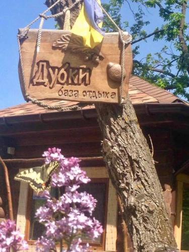 Фотография гостиницы Дубки