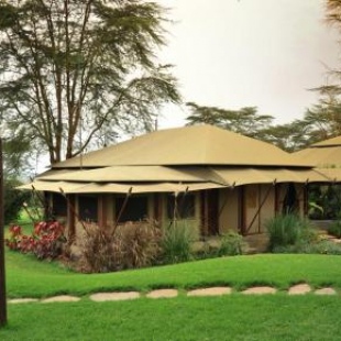 Фотография базы отдыха Lake Elmenteita Serena Camp