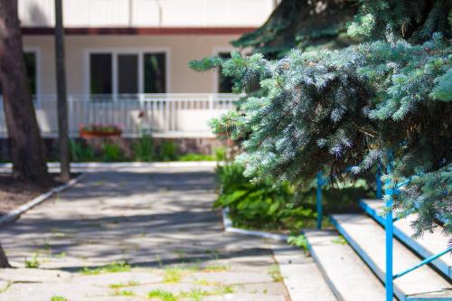 Фотография гостиницы Волна