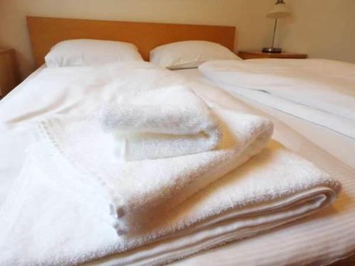 Фотография гостиницы Hotel City Residence