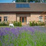 Фотография мини отеля B&B Hildegarden