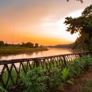 Фотография гостиницы Chitwan Riverside Resort