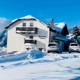 Фотография гостевого дома Penzion V Kolonce