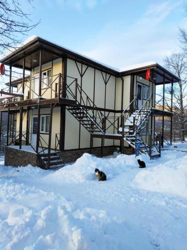 Фотография гостевого дома Cолнечный Ветер