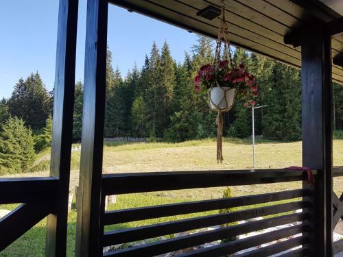 Фотография базы отдыха Pensiunea Maria-Bucovina