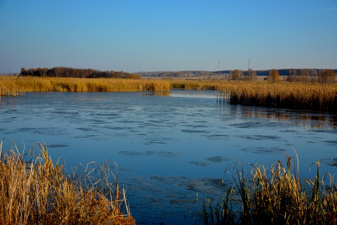 Курганское водохранилище. Шадринское водохранилище. Старобинское водохранилище. Краснознаменское водохранилище. Курганское водохранилище Курганской области.