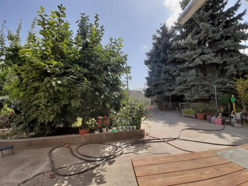 Фотография гостевого дома Ellnor