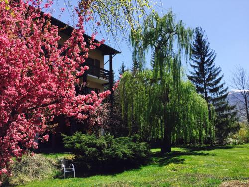 Фотография гостиницы Hôtel Lacour