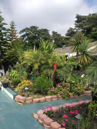 Фотография мини отеля Oceana Boutique Hotel