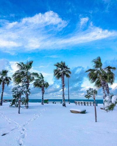 Фотография гостиницы Hotel Orbi Towers