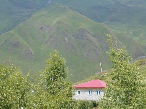 Фотография гостевого дома Guest house Data