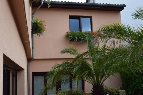 Фотография гостиницы Hotel Arte Vida