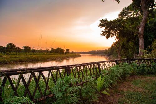 Фотографии гостиницы 
            Chitwan Riverside Resort