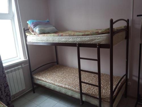 Фотография хостела Совы Гнездо Купавна