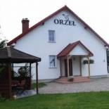 Фотография мотеля Motel Orzeł