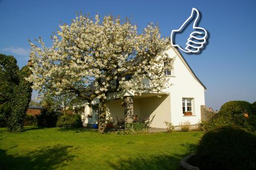 Фотография гостевого дома Ferienhaus Hummel-Nest