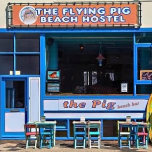 Фотография хостела The Flying Pig Beach Hostel