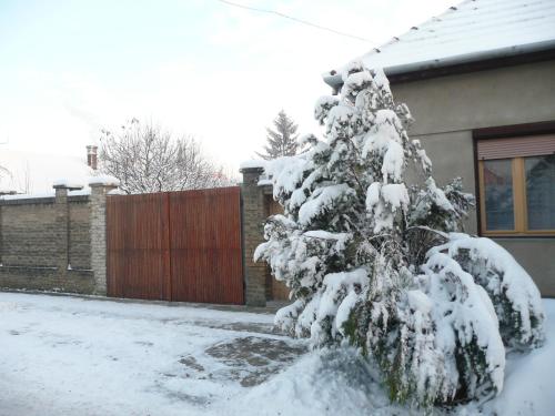 Фотография гостевого дома Guest House Tisza Ház