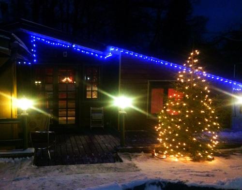 Фотография гостевого дома Дом Морозовых в Парголово