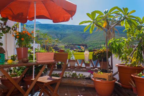 Фотография гостевого дома La Casilla