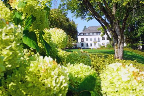 Фотография гостиницы Dorint Parkhotel Siegen