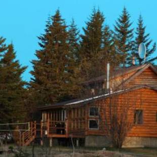 Фотографии гостевого дома
Bear Den Vacation Home