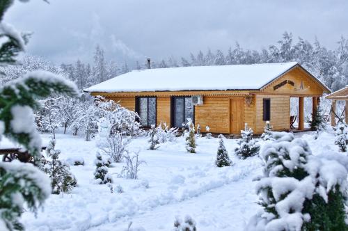 Фотография гостевого дома Псковские дали
