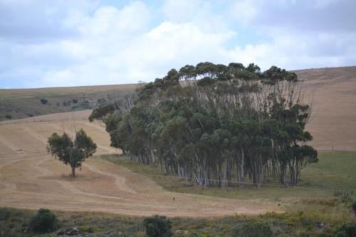 Фотография базы отдыха Old Sam's Cottage