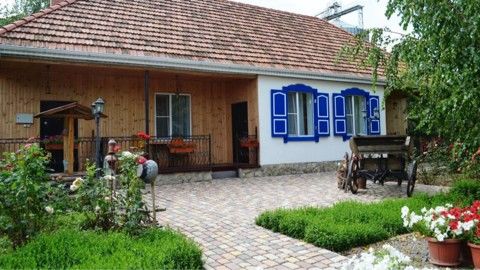 Фотография гостевого дома У Палыча