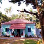 Фотография хостела The Hosteller Goa