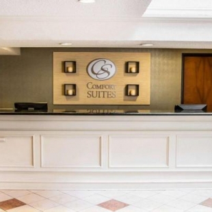 Фотография гостиницы Comfort Suites McAlester