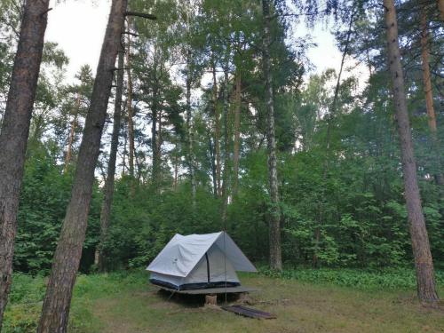 Фотография базы отдыха Глэмпинг freeroomterra