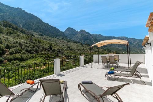 Фотография гостевого дома Town House Cas Decu