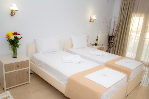 Фотография гостиницы Hotel Astron