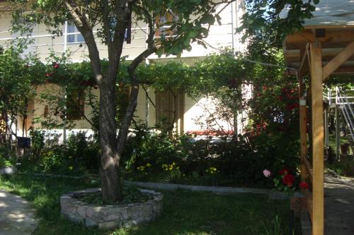 Фотография гостевого дома Vardzia K A L A