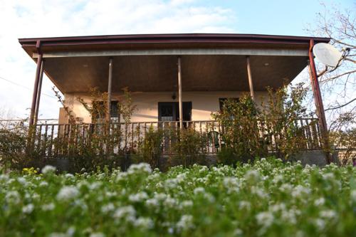 Фотография гостевого дома Buto's House