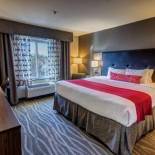 Фотография гостиницы Best Western Plus Nashville Airport Hotel - BNA