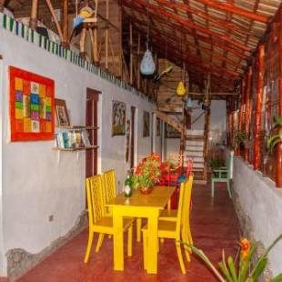 Фотографии хостела 
            Hostel La Ballena Backpacker