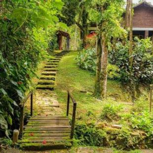 Фотография гостевого дома LINDA CASA EM PENEDO