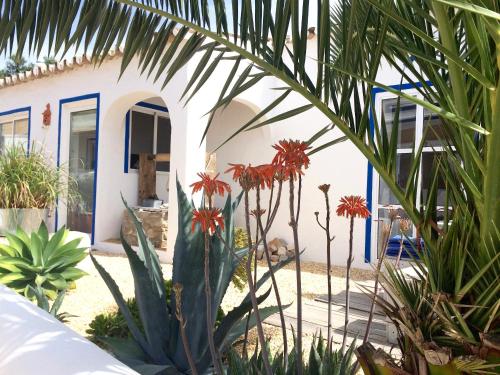 Фотография гостевого дома Casa da Aldeia