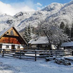 Фотографии гостевого дома 
            Bohinj house Lizina Hiška