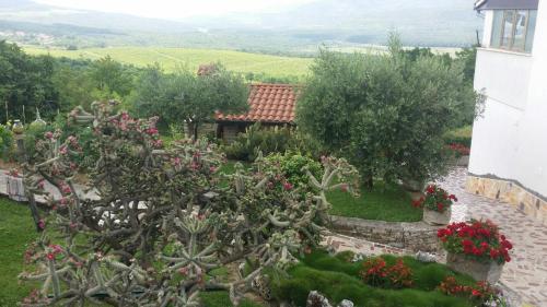 Фотография гостевого дома Guest House Nena