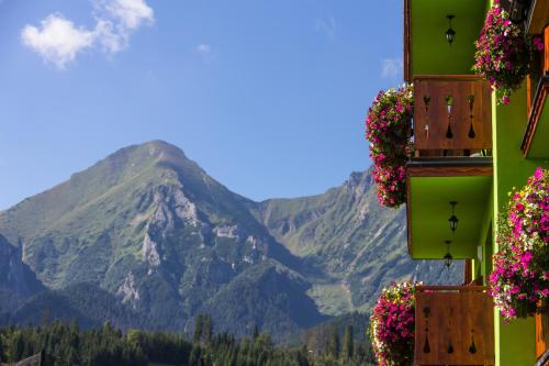 Фотография гостевого дома Penzion Safran