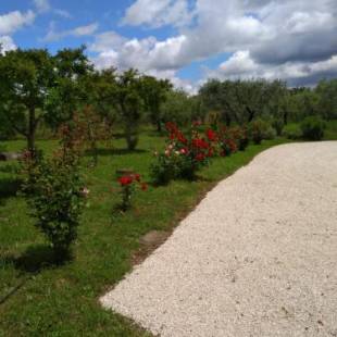 Фотографии гостевого дома 
            Casa Vacanze Le Rose