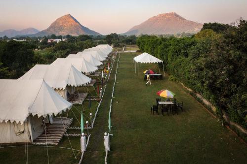 Фотографии базы отдыха 
            Royal Pushkar Camps