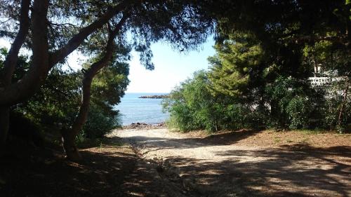 Фотография гостевого дома Guesthouse en Coveta fumà- El Campello