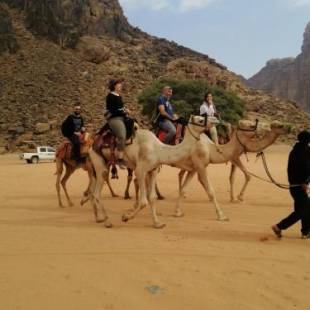 Фотографии хостела 
            Wadi rum Campsite & Tours