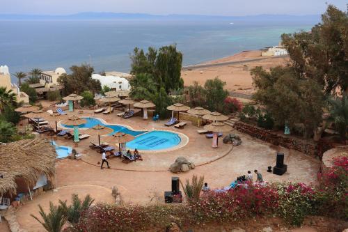 Фотографии гостиницы 
            The Bedouin Moon Hotel