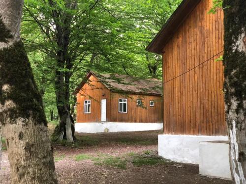 Фотография гостиницы Cool Forest-Sərin Meşə