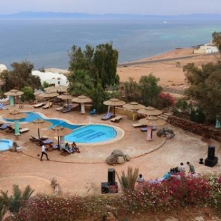 Фотография гостиницы The Bedouin Moon Hotel